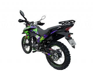 XY300 Green-Violet 9